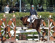 Cellini Dear Vinc GioCav2013 S6 7428 : Campionati Italiani Giovani Cavalli, Cattolica, Cellini Luigi, Dear Vinc, ph Stefano Secchi ©